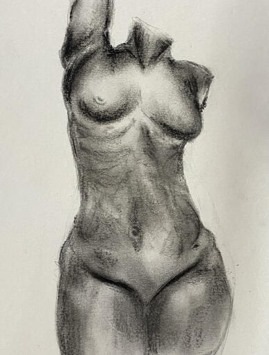 Charcoal(price might change depending on reference)-$60USD